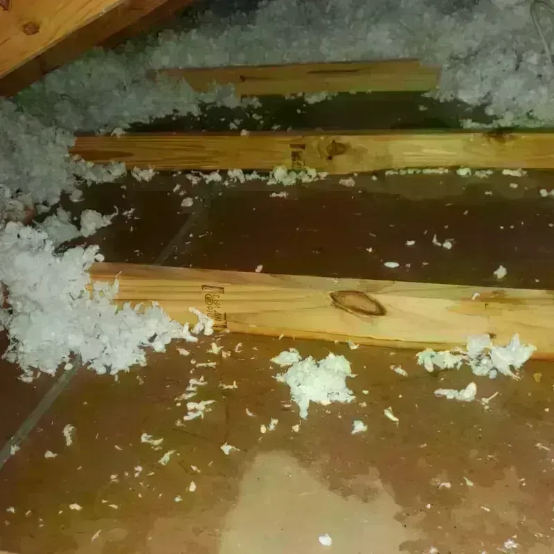 Attic Water Damage in Franklin, WI