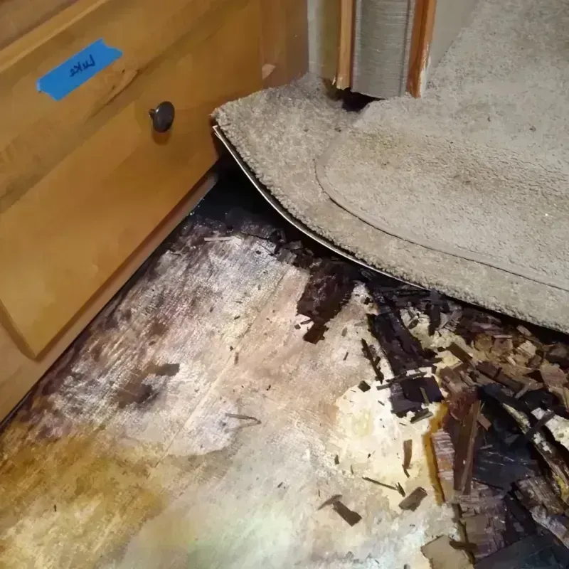 Best Wood Floor Water Damage Service in Franklin, WI